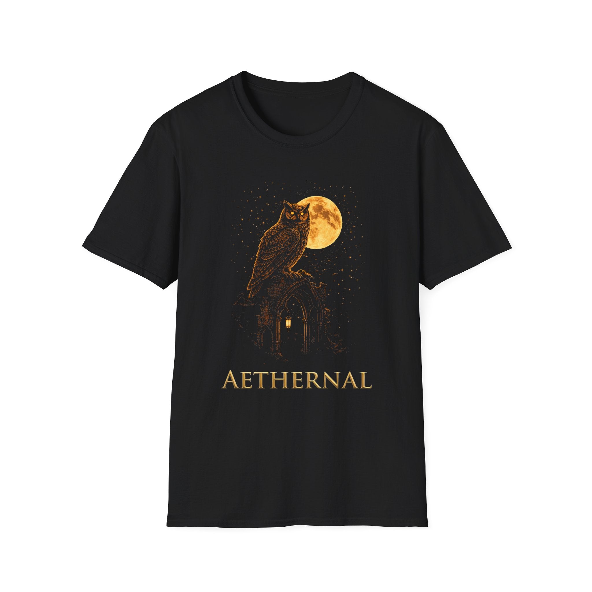 Owl atop arch T-Shirt